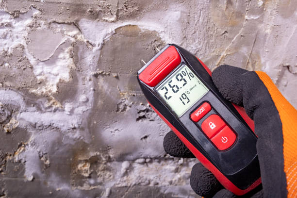 Best Mold Testing  in Lillian, AL