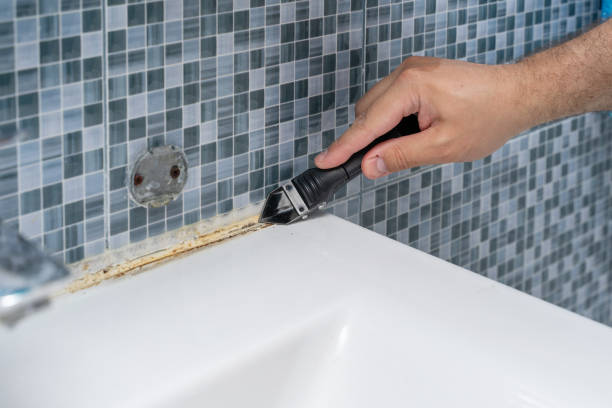 Best Certified Mold Removal  in Lillian, AL