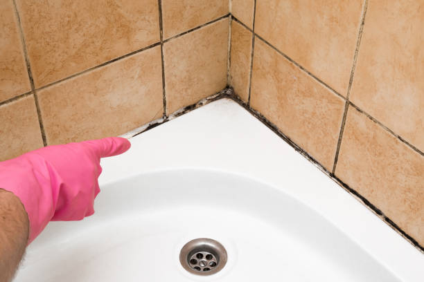 Best Mold Inspection  in Lillian, AL